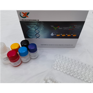 小鼠肝配蛋白B受体4(EPHB4)快速检测ELISA试剂盒,Mouse Ephb4 (Ephrin type-B receptor 4) QuickTest ELISA Kit