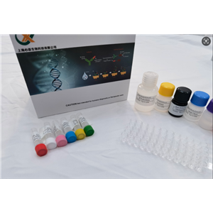 小鼠水通道蛋白8(AQP-8)ELISA试剂盒,Mouse Aqp8(Aquaporin-8) ELISA Kit