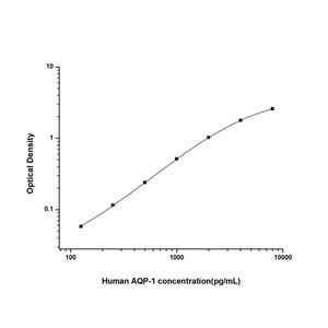 人水通道蛋白1(AQP-1)ELISA试剂盒 YB74339Hu,AQP-1