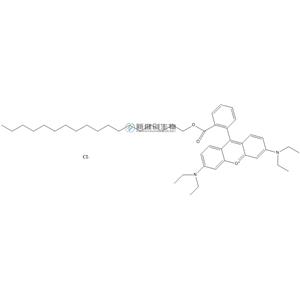十八基罗丹明B氯化物,Octadecyl Rhodamine B (chloride)