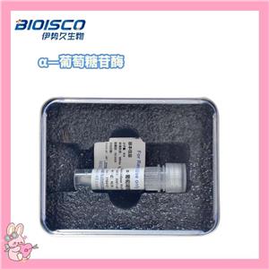 α-葡萄糖苷酶,α-Glucosidase