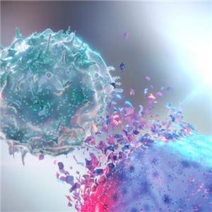 Biotinylated人PD-L1 / B7-H1蛋白, His, Avitag