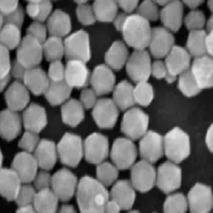 钯纳米颗粒，Palladium Nanoparticles，Pd NPs