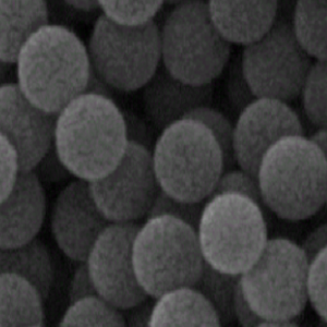蛋黄状磁性中空介孔二氧化铈,Yolk-Shell Magnetic Mesoporous Cerium Oxide (CeO2) Nanoparticles