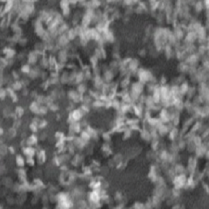 CeO2 Nanorods，氧化铈纳米棒，Cerium Oxide Nanorods