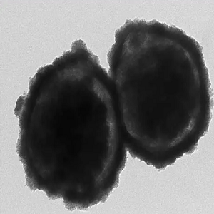 中空介孔氧化铈，Hollow Mesoporous Ceria Nanoparticles