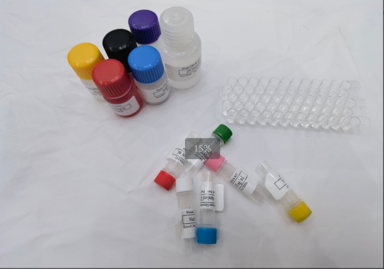 免费代测 大鼠组织多肽抗原 (TPA) ELISA试剂盒,Rat TPA(Tissue Polypeptide Antigen) ELISA Kit