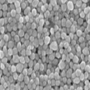 白蛋白纳米颗粒,Albumin Nanoparticles