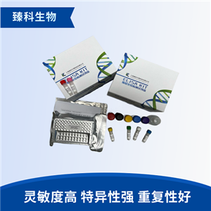 人胶原蛋白Ⅱ(HCBⅡ）elisa定量试剂盒