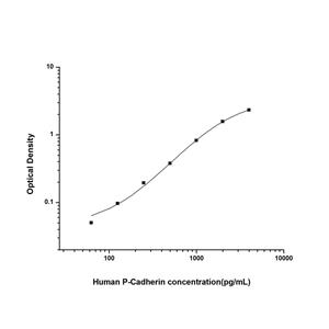 人胎盘钙黏蛋白(P-Cadherin)ELISA试剂盒 YB74515Hu,P-Cadherin