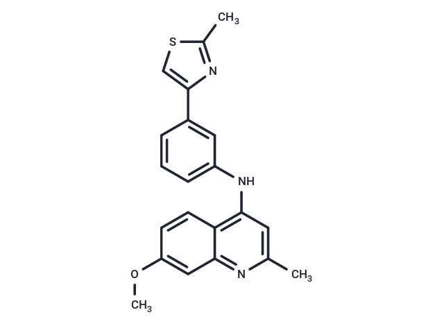 HIF-1α 抑制剂2,HIF-1α-IN-2