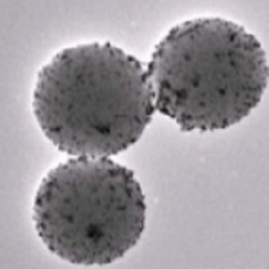 牛血清白蛋白修饰的金纳米颗粒,BSA-Coated Gold Nanoparticles