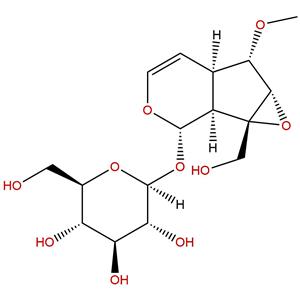 6-O-甲基梓醇,6-O-methylcatalpol