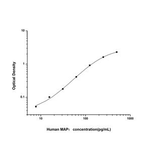 人微管关联蛋白(MAPτ)ELISA试剂盒 YB74587Hu,MAPτ