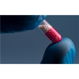 工艺开发：制剂开发_Process Development:Formulation Development