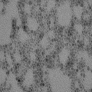 PVP修饰硫化铜纳米颗粒，PVP-Coated Copper Sulfide Nanoparticles