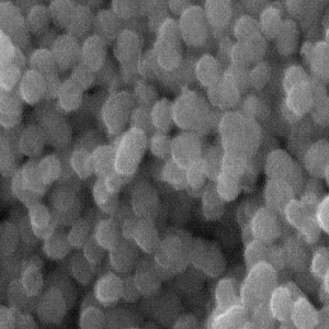 二硫化钼纳米颗粒，Molybdenum Disulfide Nanoparticles，MoS2 NPs