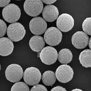 蛋白G磁珠,Protein G Magnetic Beads