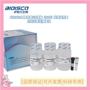 NADPH-细胞色素C还原酶(NCR)测试盒