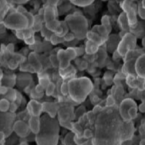 聚丁二酸丁二醇酯微球,PBS Microspheres