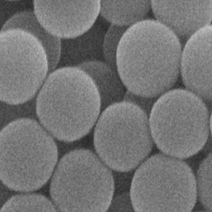 链霉亲和素修饰PBS微球，PBS Particles-Streptavidin