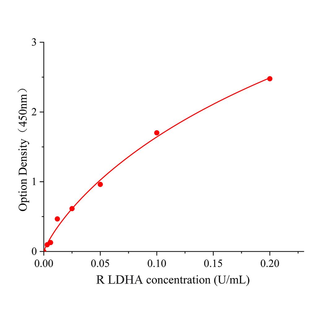 大鼠乳酸脱氢酶A(LDHA)检测试剂盒,Rat LDHA ELISA KIT