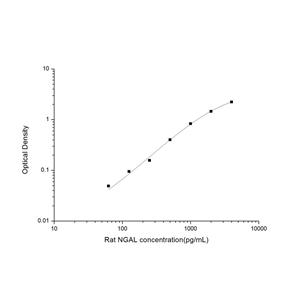 大鼠中性粒细胞明胶酶相关脂质运载蛋白(NGAL)ELISA试剂盒 YB-71581Ra,NGAL