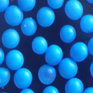 蓝色荧光修饰的PET微球，Blue PET Fluorescent Particles