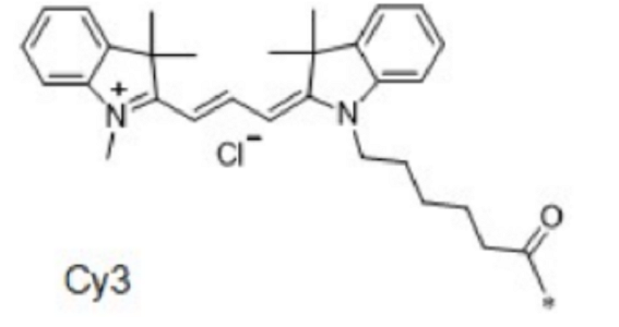 Cy3-桑黄素,CY3-Morin