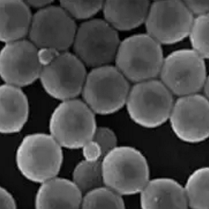 BSA修饰聚乙烯微球,BSA PE Particles