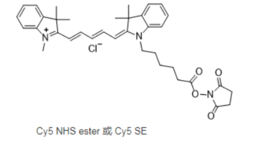Cy5-硬脂酸,CY5-Stearic acid