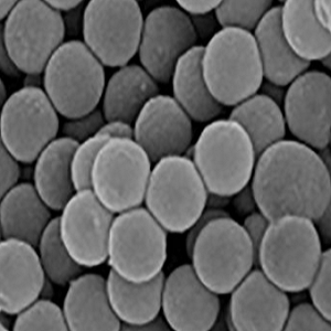 链霉亲和素修饰PLA微球,Streptavidin PLA Particles