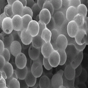 中空二氧化钛微球1um,Hollow Titania Microspheres