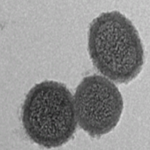 介孔二氧化钛微球500nm,Mesoporous Titania Microspheres