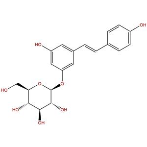 虎杖苷,Polydatin