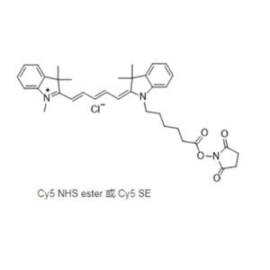 Cy5-硬脂酸，CY5-Stearic acid，Cyanine5-Stearic Acid