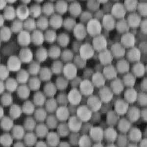 生物素修饰的PLGA微球，Biotin PLGA Particles