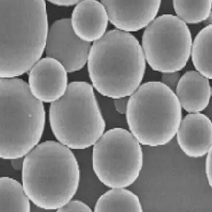 氨基修饰PLA微球,Amino PLA Particles