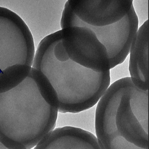 中空的聚苯乙烯微球1um，Hollow Polystyrene Microspheres