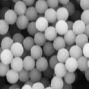 链霉亲和素修饰的琼脂糖磁性微球50um,Streptavidin-modified agarose magnetic microspheres
