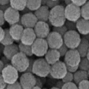 羧基修饰PLA微球100nm,Carboxyl-modified PLA microspheres