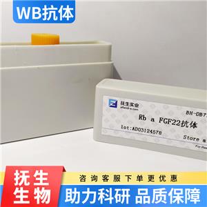 Strep-Tag II（标签）抗体,Strep-Tag II Rabbit pAb