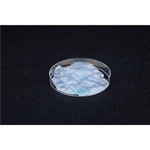 TEMPO氧化纳米纤维素TL-010-2 ，南京天禄纳米，纳米纤维素厂家