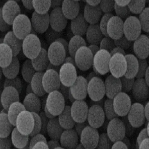 羟基化聚苯乙烯微球300nm，Hydroxylated polystyrene microspheres