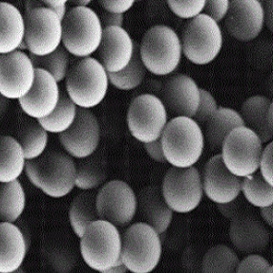 羧基修饰的琼脂糖磁性微球50um，Carboxyl-modified agarose magnetic microspheres