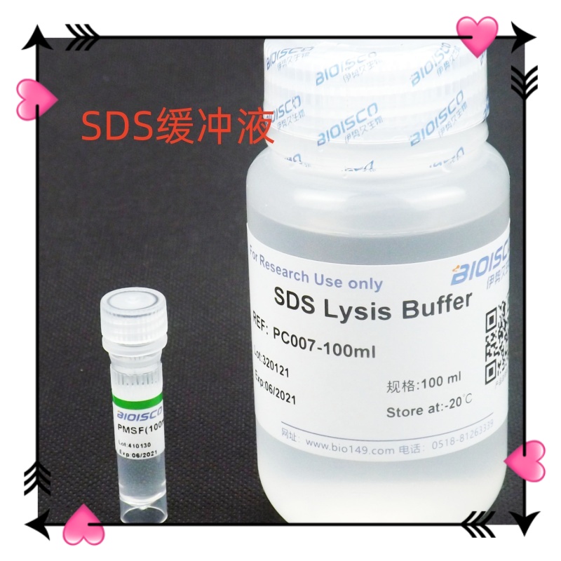 SDS裂解液,SDS lysate