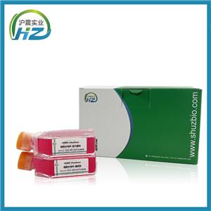 CoC1/DDP（人卵巢癌细胞CoC1顺铂耐药亚株） HZ-5475HC