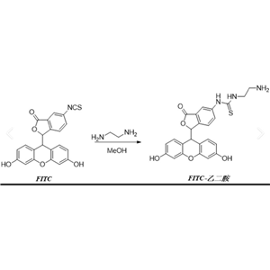 Fitc-苯硼酸，FITC-PBA，FITC-Phenylboronic acid，异硫氰酸荧光素 - 苯硼酸，苯硼酸 - FITC 缀合物