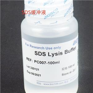 SDS裂解液,SDS lysate