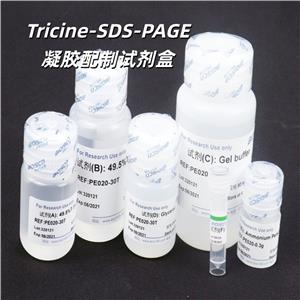 Tricine-SDS-PAGE凝胶配制试剂盒
